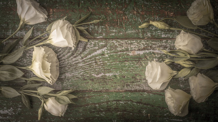 White flowers on the old wooden background top view
