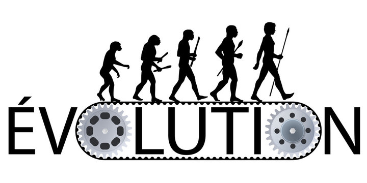 Evolution - Humanité