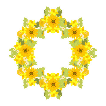 Floral sunflower, narcissus, chrysanthemum background vector illustration