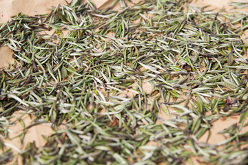 close up of tea raw drying