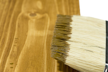 Paintbrush close up with space for your text. 