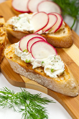Bread Toasts with White Cheese and Radishes. Selective focus.