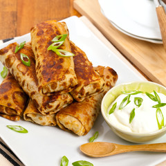 Russian Fried Stuffed Pancakes. Selective focus.