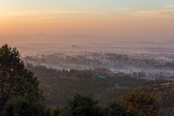 Morgennebel