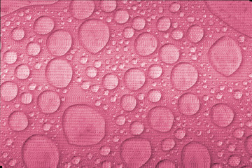 Water drops on magenta background