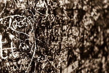 The wall full of messages, Verona, Italy.