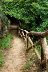 Forest walk in Crete