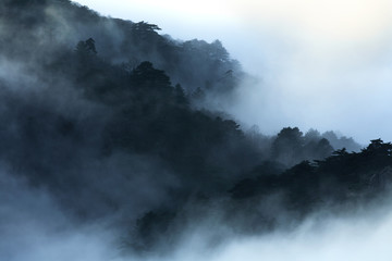 Mt Huangshan in Anhui province,China