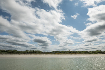 Celestun shore view from a boat. Yucatan Mexico