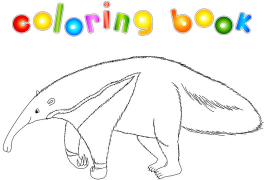 Funny cartoon ant-eater. Coloring book for kids