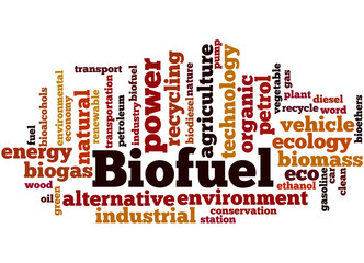 Biofuel, word cloud concept 5