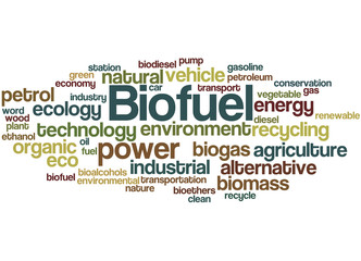 Biofuel, word cloud concept 8