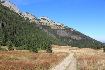 Tatry, Poland - mountain trail