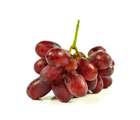 grape isolated on white background