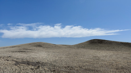 desert land in new mexico, golden grass