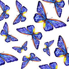 Obraz na płótnie Canvas Watercolor butterfly summer 