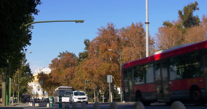 seville day light traffic street 4k spain
