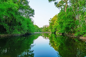 beautiful of natural river stream in the forest (dry season) at countryside thailand
