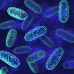 Mitochondria - microbiology 3d illustration - obrazy, fototapety, plakaty