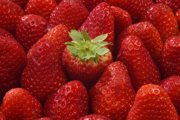 fragole mature in ordine