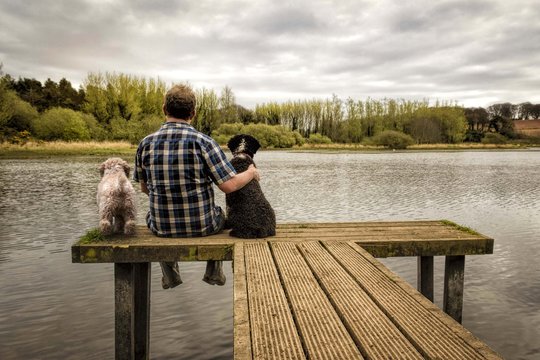 Man's Best Friends