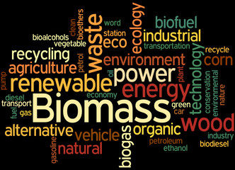 Biomass, word cloud concept 5
