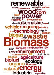 Biomass, word cloud concept 7