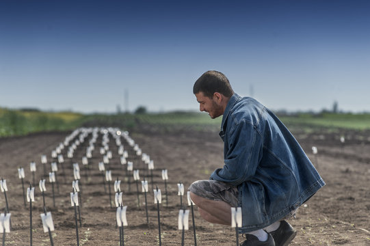 Parts of land for testing seeds