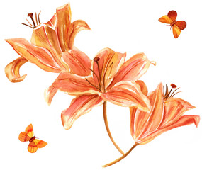 Watercolor drawing of three orange colored lilies with two butterflies