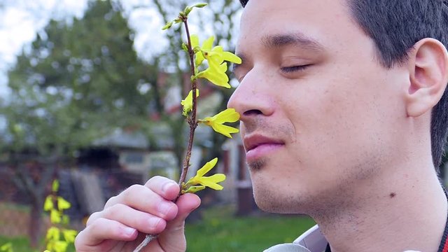 A young man sniffing a flower / yellow shower during lovely spring time in the garden / park / botanic garden