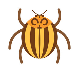 Beetle flat insect bug in cartoon style vector illustration