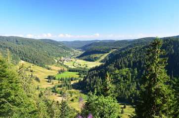 Dolina- widok z Feldbergu (Niemcy)