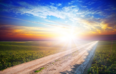 Green Field and Beautiful Sunset