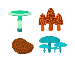 Mushrooms vector illustration set different types isolated on white background