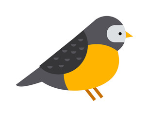 Bullfinch colorful nature winter bird pyrrhula holiday wild animal vector.
