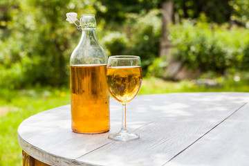 Apple cider the summer picnic