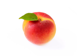 Fototapeta na wymiar Apricot close up isolated on white