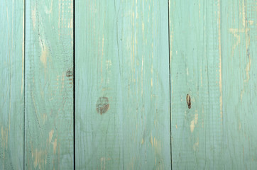 Green wooden background.