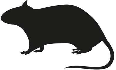 silhouette rat