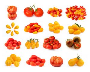 Collection of tomatoes isolated