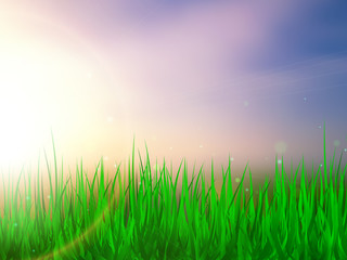 Fototapeta premium Sunlight. Summer background with green grass and blue sky. Vector illustration