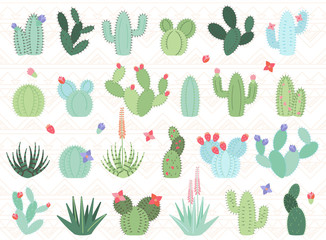 Vector Set of Cactus and Succulent Plants - 107466378