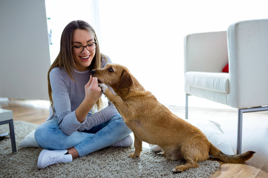 Beautiful Young Woman With Dog Playing At Home.