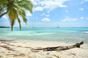 Beach on Saona Island, Dominican Republic