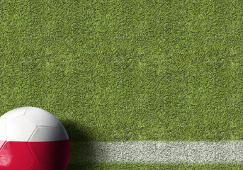 Poland Ball in a Soccer Field