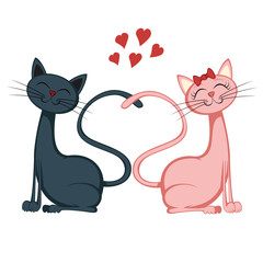 Cute cats