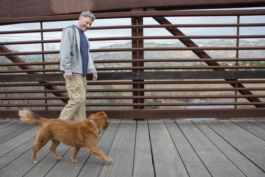 Caucasian man and dog walking on wooden bridge