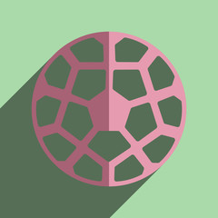 Obraz premium Flat icons with shadow of soccer ball