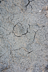 Cracked dry ground
