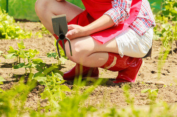 woman with gardening tool working in garden